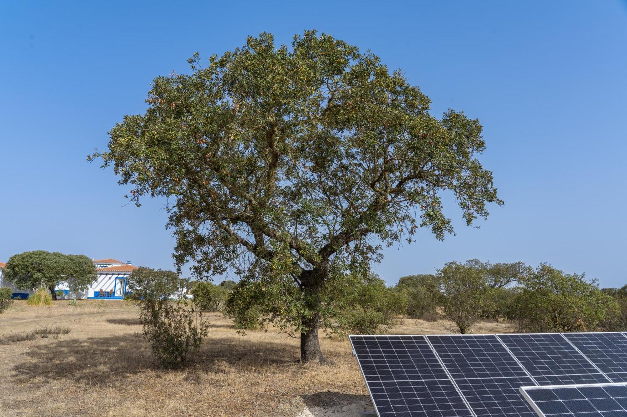 Change The World - Herdade Monte Do Peral Montes Juntos Екстериор снимка