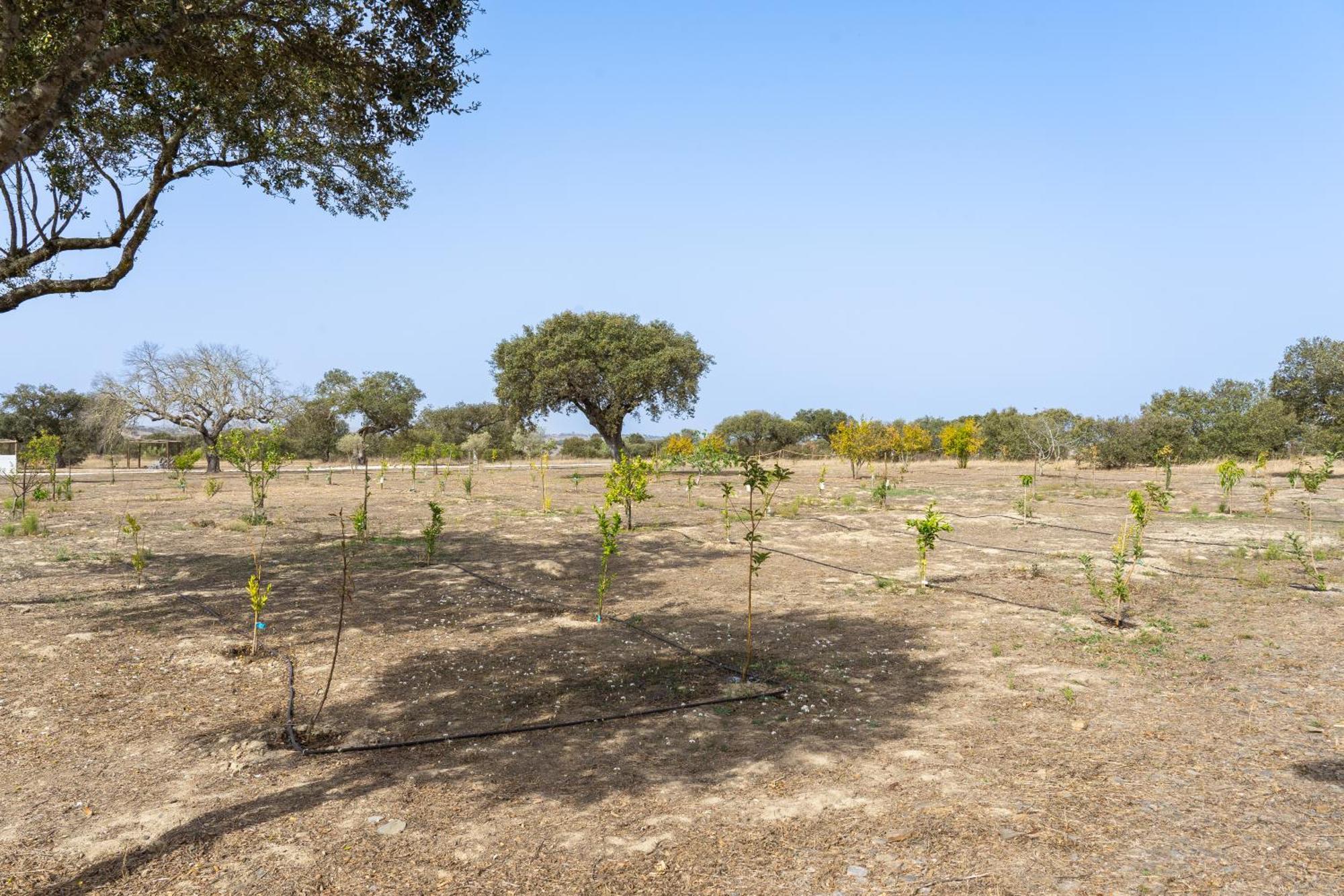 Change The World - Herdade Monte Do Peral Montes Juntos Екстериор снимка